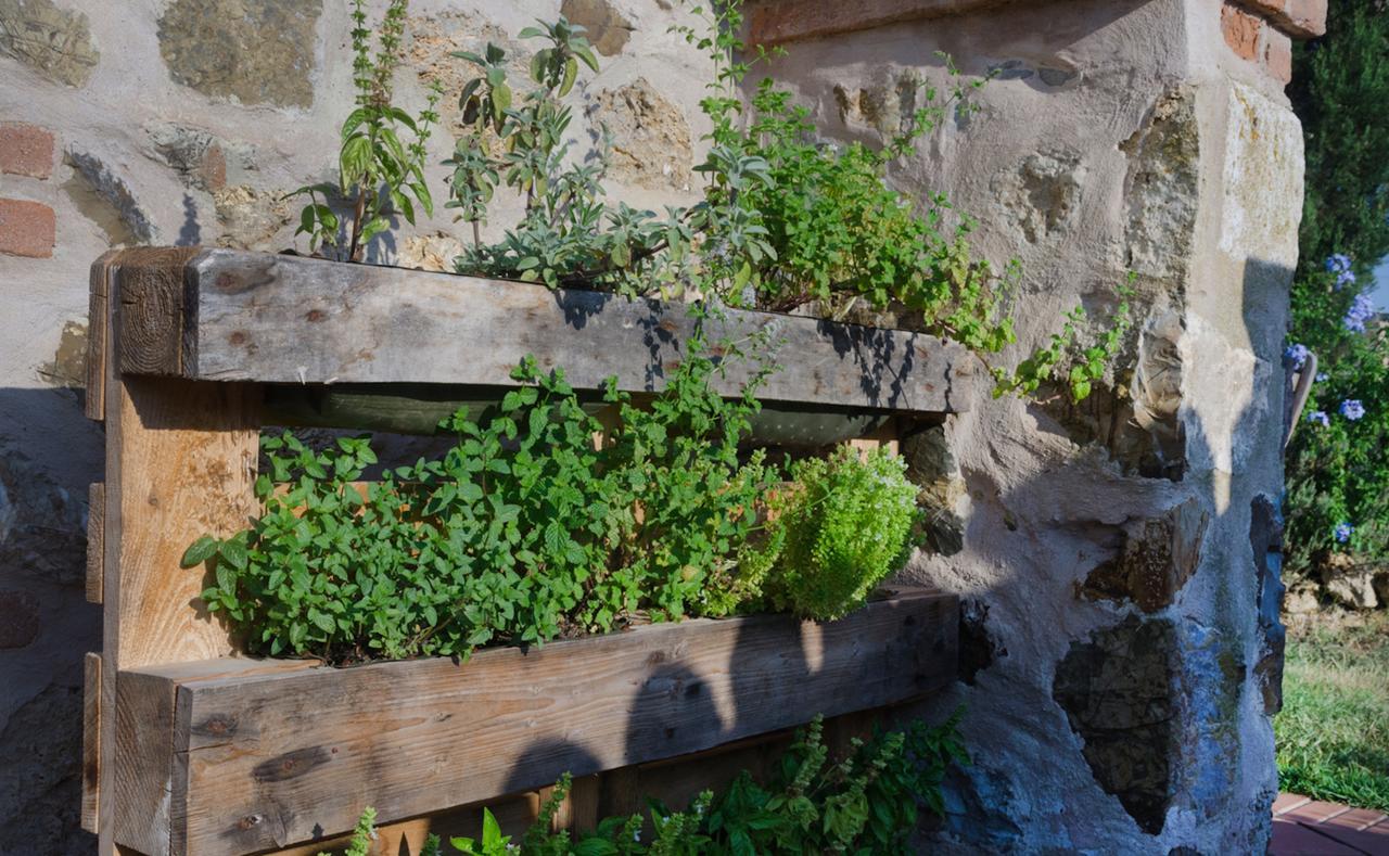 Dojo Bianco Bed & Breakfast Massa Marittima Exterior foto